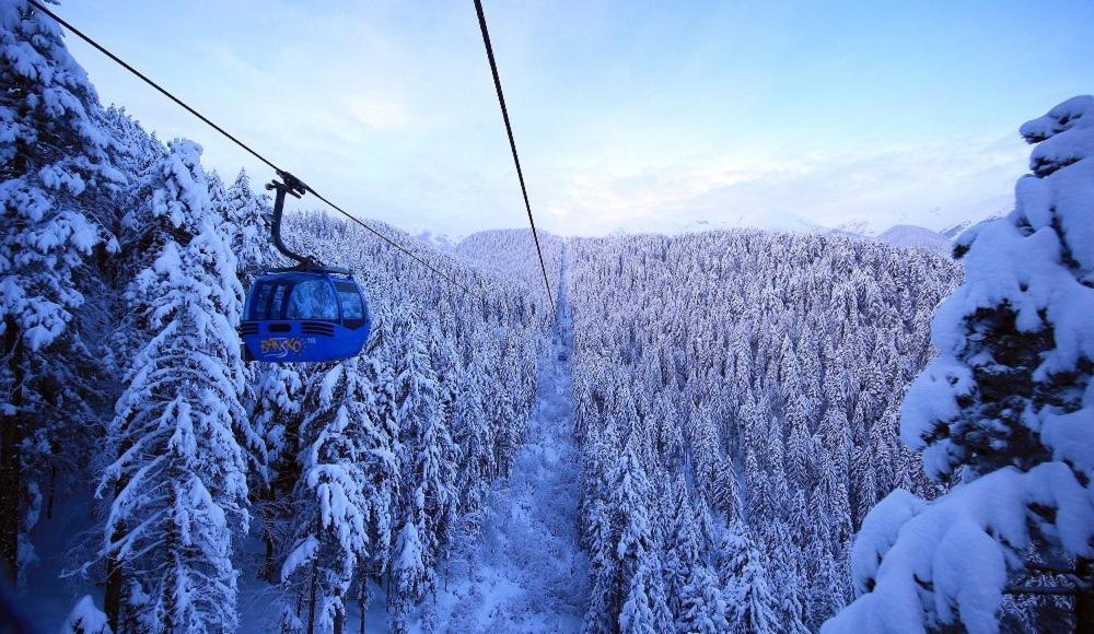 Green Life Bansko, 1 Bedroom Private Apartment D4 Exteriér fotografie